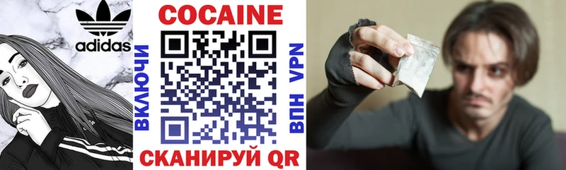 Купить где Вязники COCAIN Fish Scale