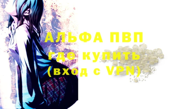 ешки Корсаков