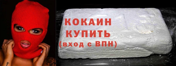 ешки Корсаков
