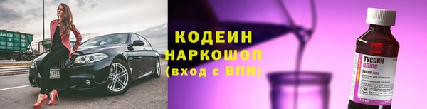 ешки Корсаков