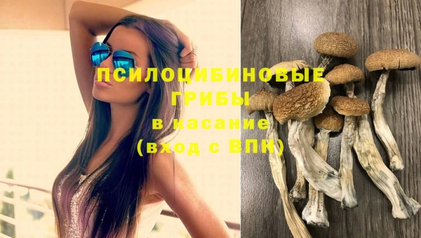 прущая мука Костерёво