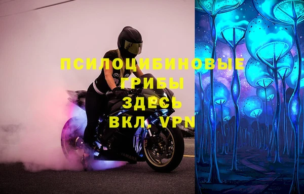 шишки Краснослободск