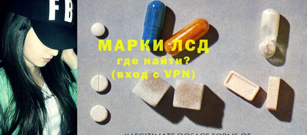 ешки Корсаков