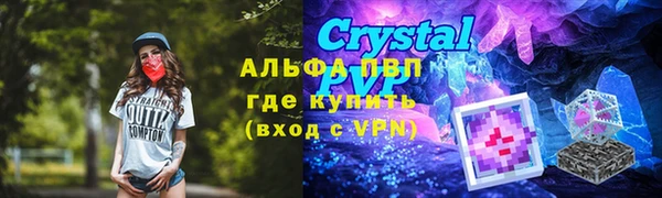 СК Коряжма