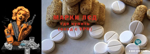 ешки Корсаков