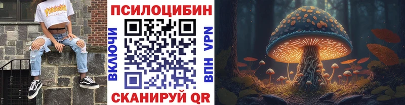 Галлюциногенные грибы MAGIC MUSHROOMS Купить закладки Вязники